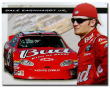 NASCAR(ナスカー)Dale Jr.バドワイザーレーシングのブリキ看板