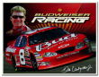 NASCAR(ナスカー)Dale Jr.2005バドワイザーレーシングのブリキ看板